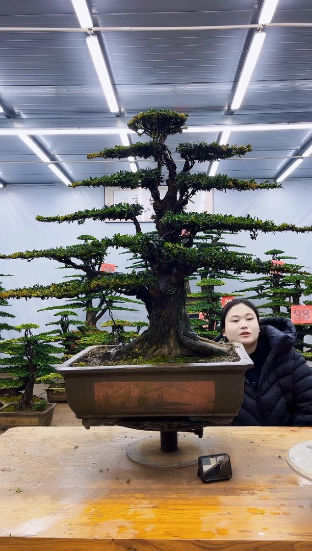 无花朵一物一拍·所见即所得