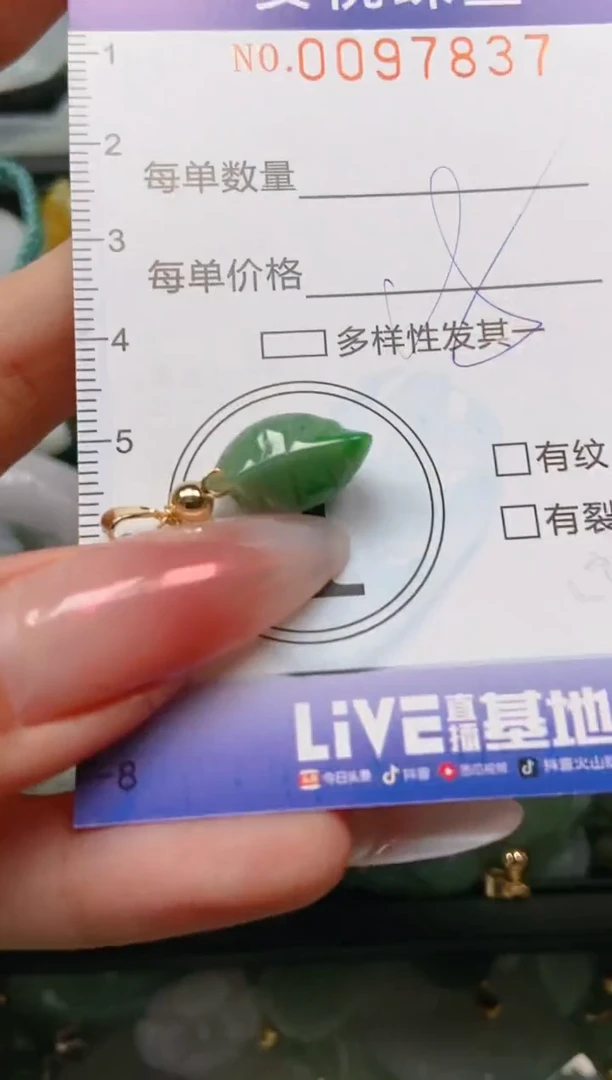 【闪购商品】翡翠颈饰未镶嵌闪购0097837