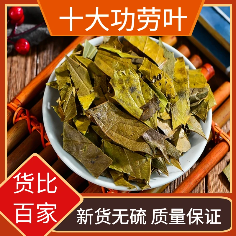 十大功劳叶干货枸骨叶猫儿刺老鼠刺八角刺十大功劳叶泡水另售川贝