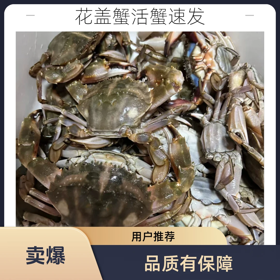 【保鲜不保活】东港 花盖蟹 鲜活发货 3斤 个别有断腿 介意勿拍