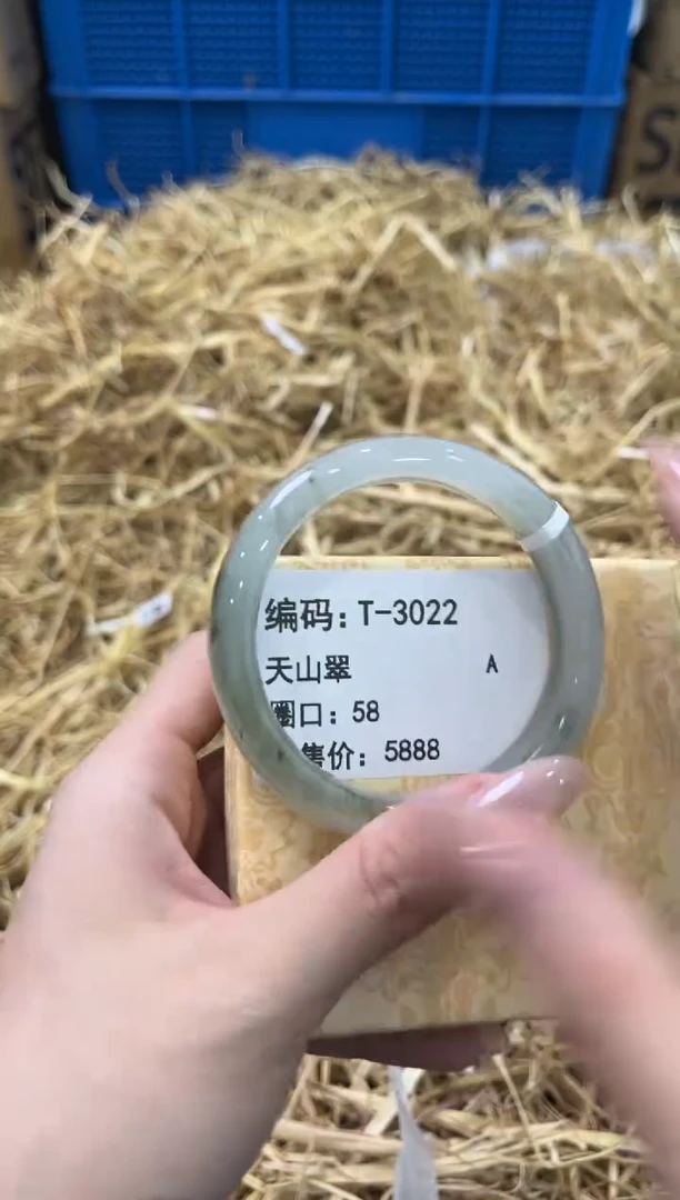 未镶嵌手镯石英质玉T-3022