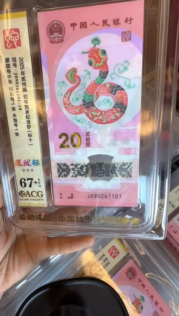 塑料2025蛇钞 爱藏标十 啊啊啊啊