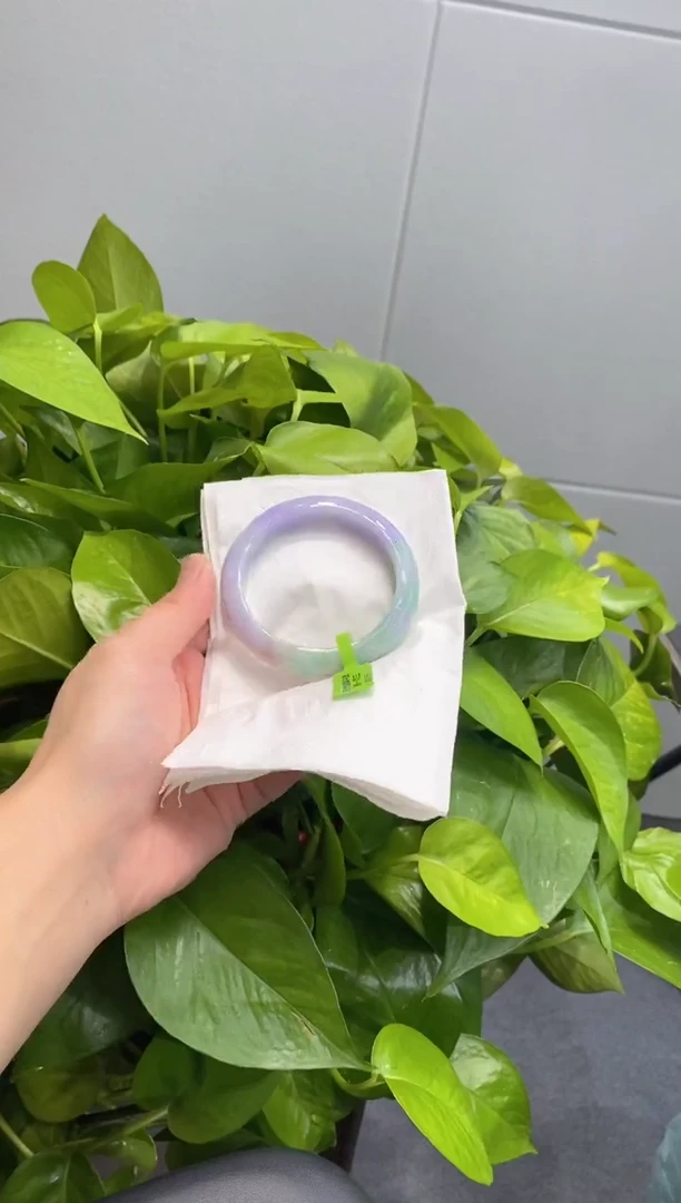 未镶嵌手镯翡翠000084965
