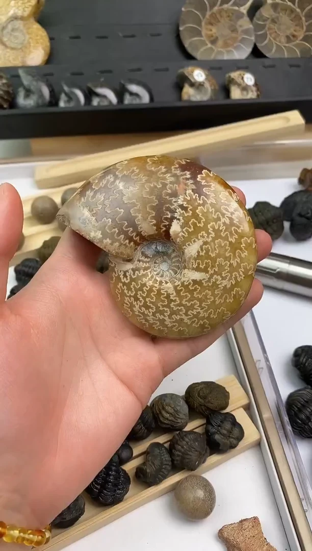 精美摆件创意礼物家居配饰新年礼物个人收藏