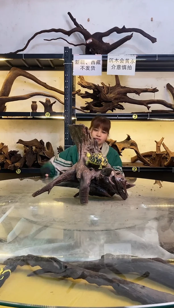 【闪购商品】柚木木艺鱼缸造景沉木194