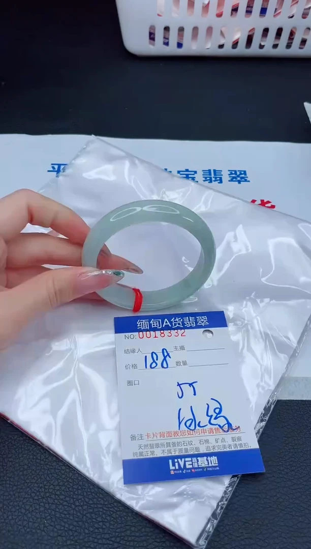 未镶嵌手镯翡翠1 T