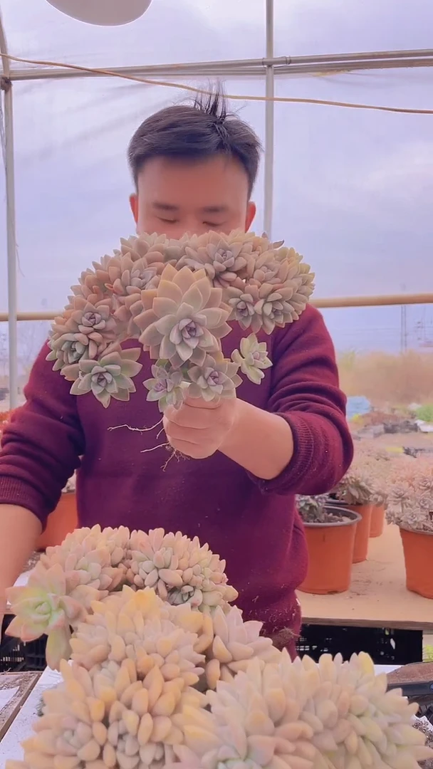 【闪购商品】缀化141