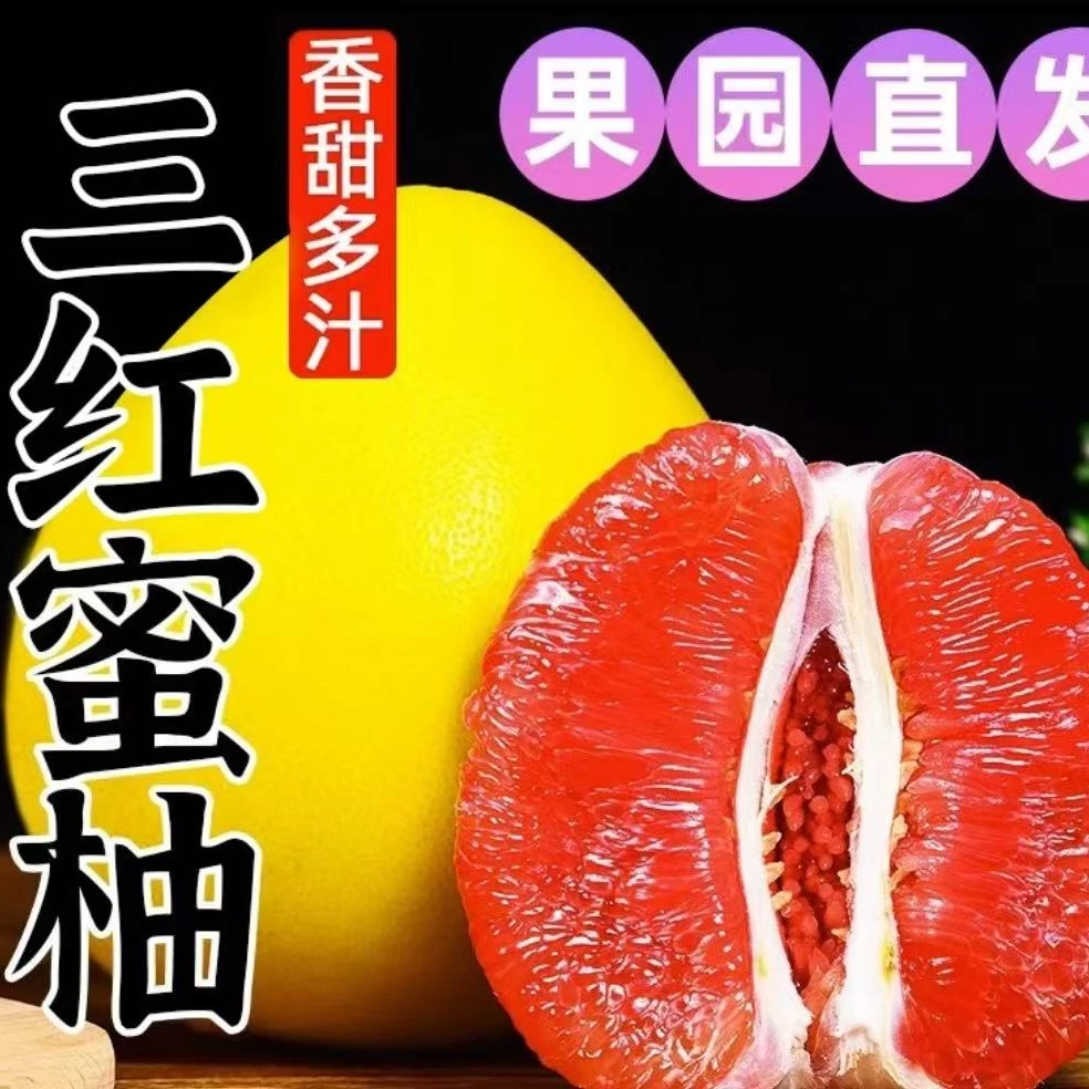 福建平和三红蜜柚（3个装）