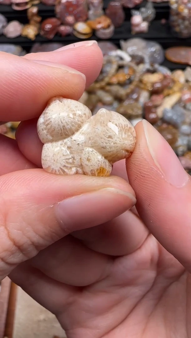 硅化珊瑚（珊瑚玉）未镶嵌颈饰509