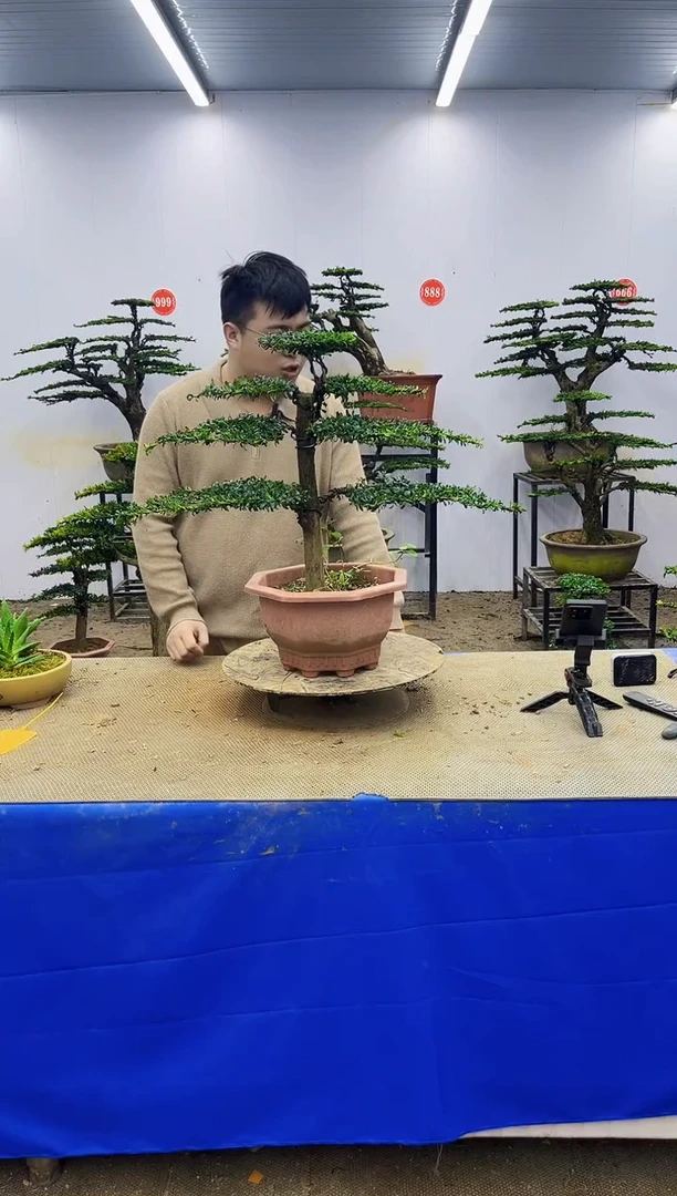以实际为准一物一拍，所见即所得