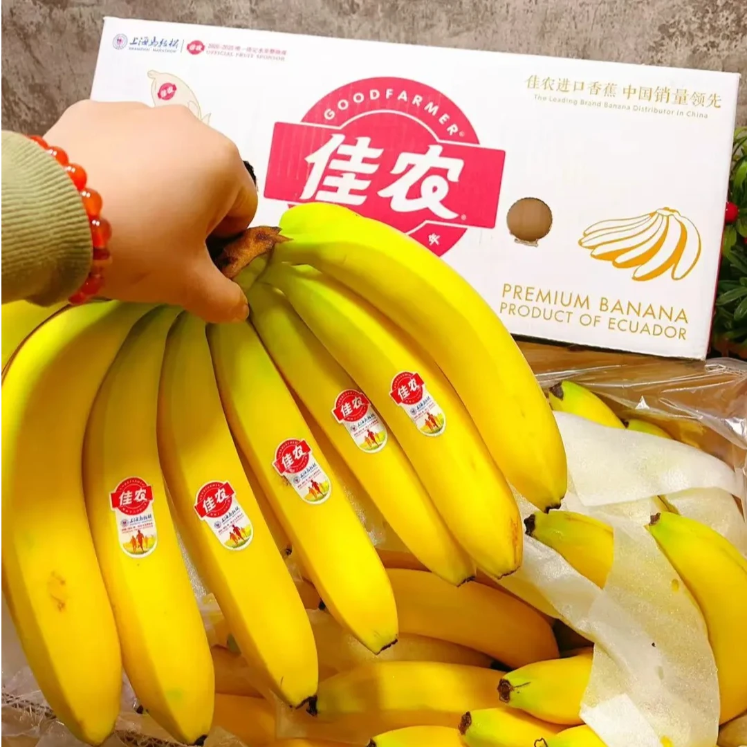 果切佳农香蕉新鲜软糯1250g上海市