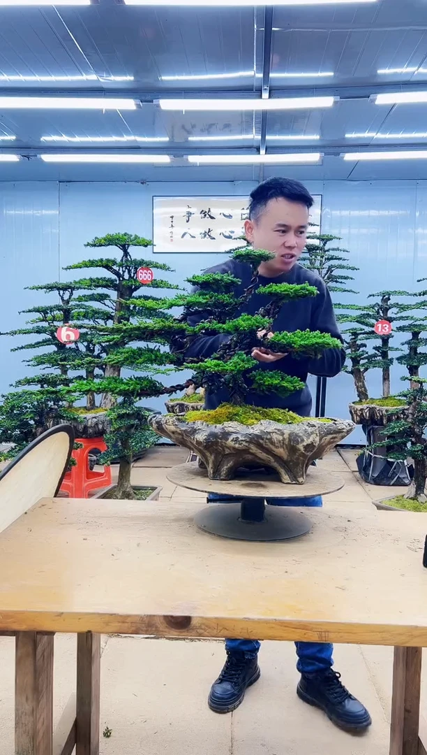 无花朵炸***?00000000000000000000