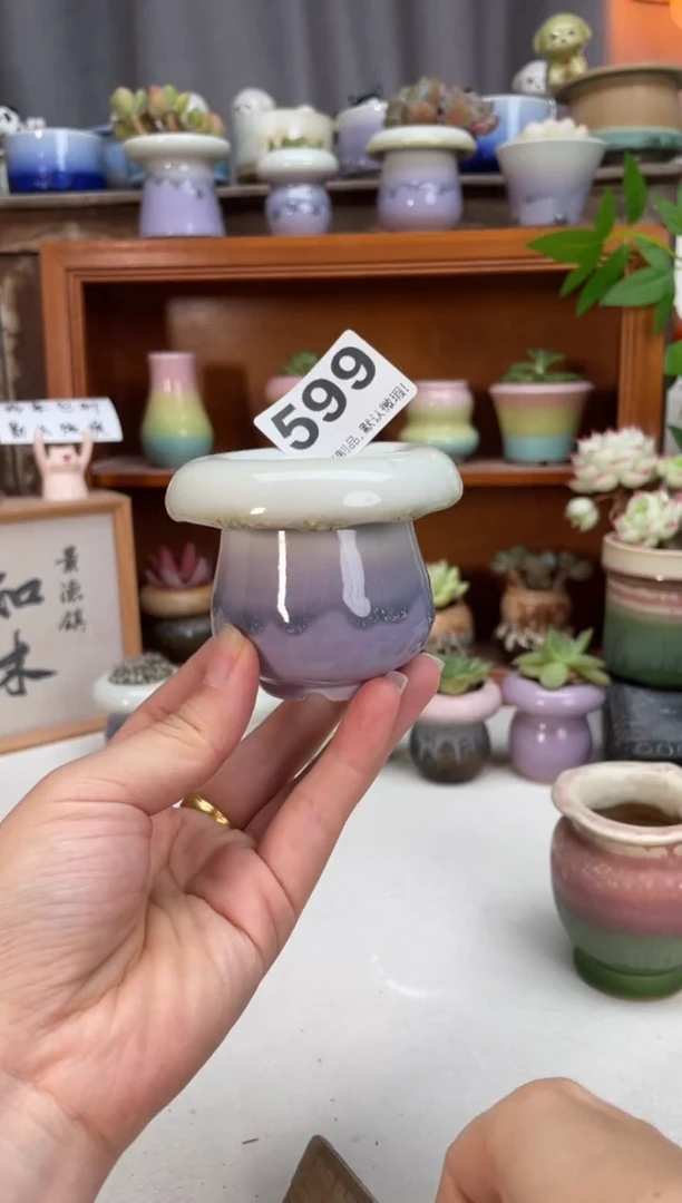 瓷片599瑕疵知木小芳你花盆