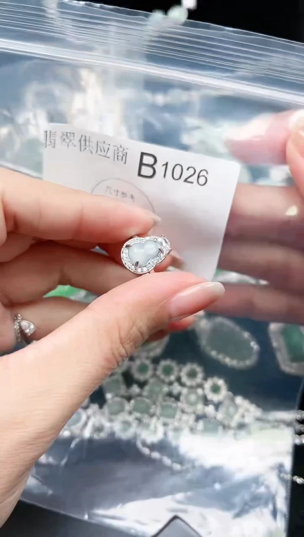 【闪购商品】翡翠颈饰未镶嵌赠皮绳1026