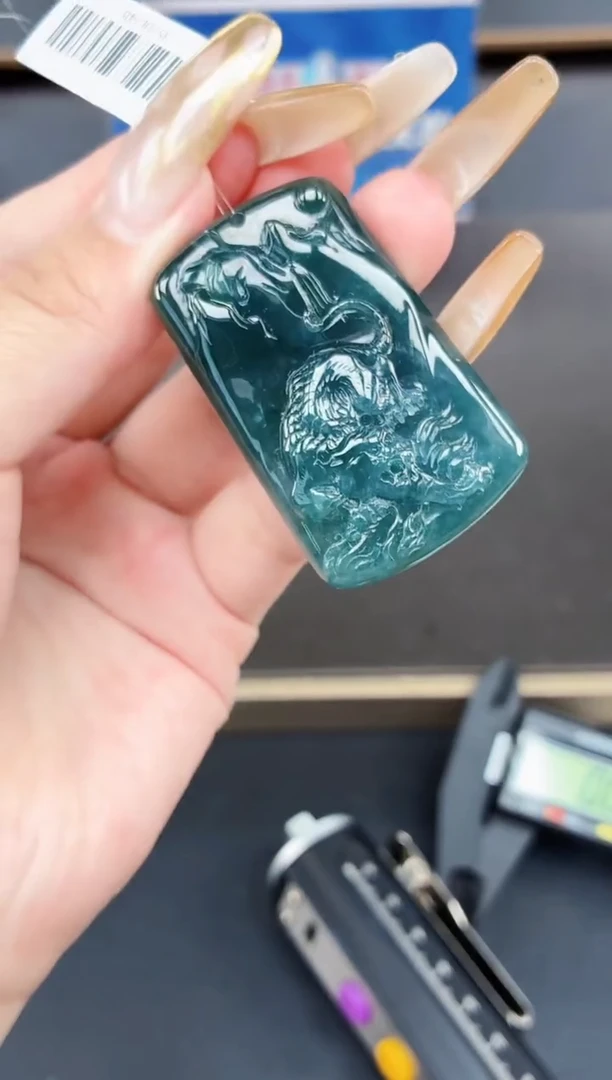 颈饰未镶嵌翡翠DLZ25100365