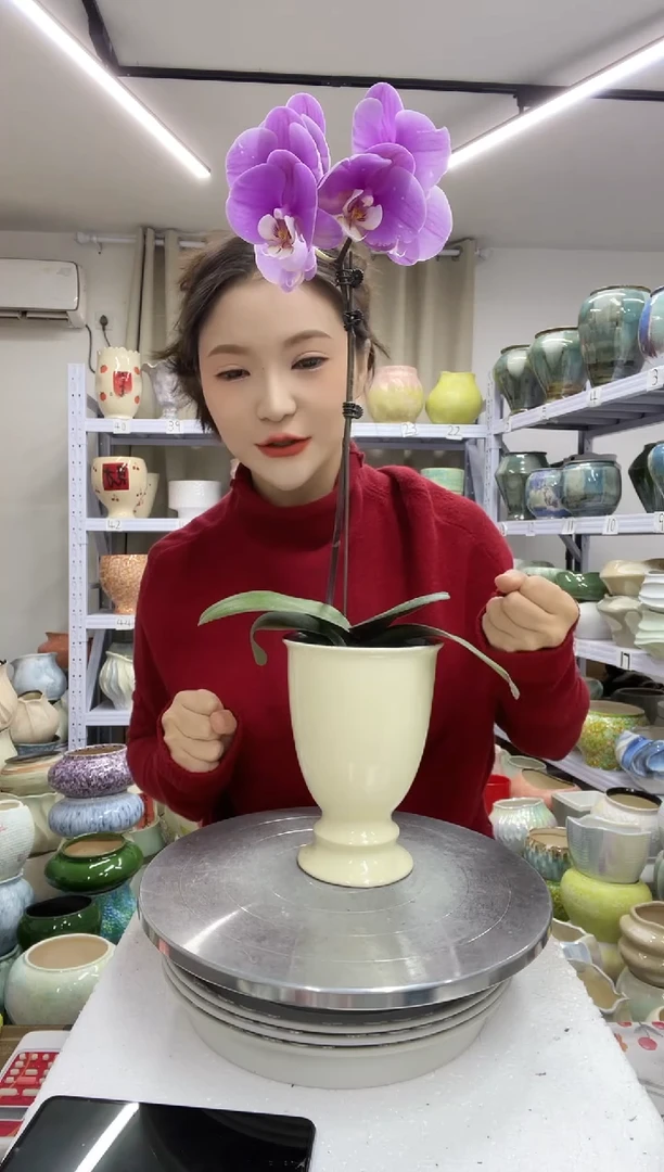 【1.3】花盆尺寸高：17 口：11