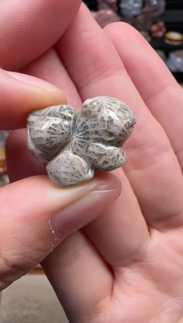 颈饰未镶嵌硅化珊瑚（珊瑚玉）456