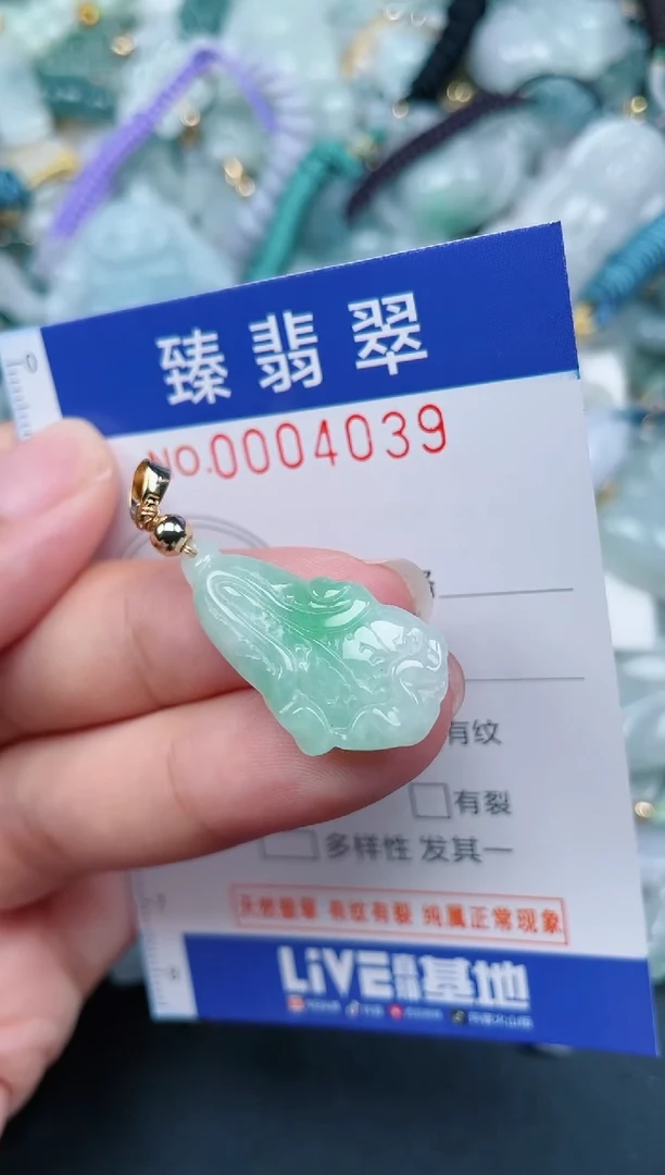 翡翠未镶嵌颈饰.0004039