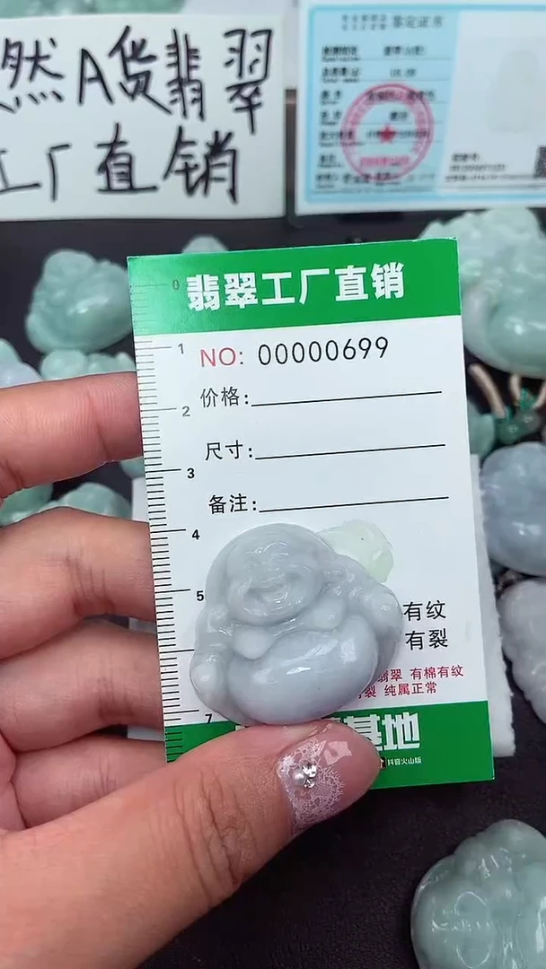 颈饰未镶嵌翡翠缅甸天然翡翠0699