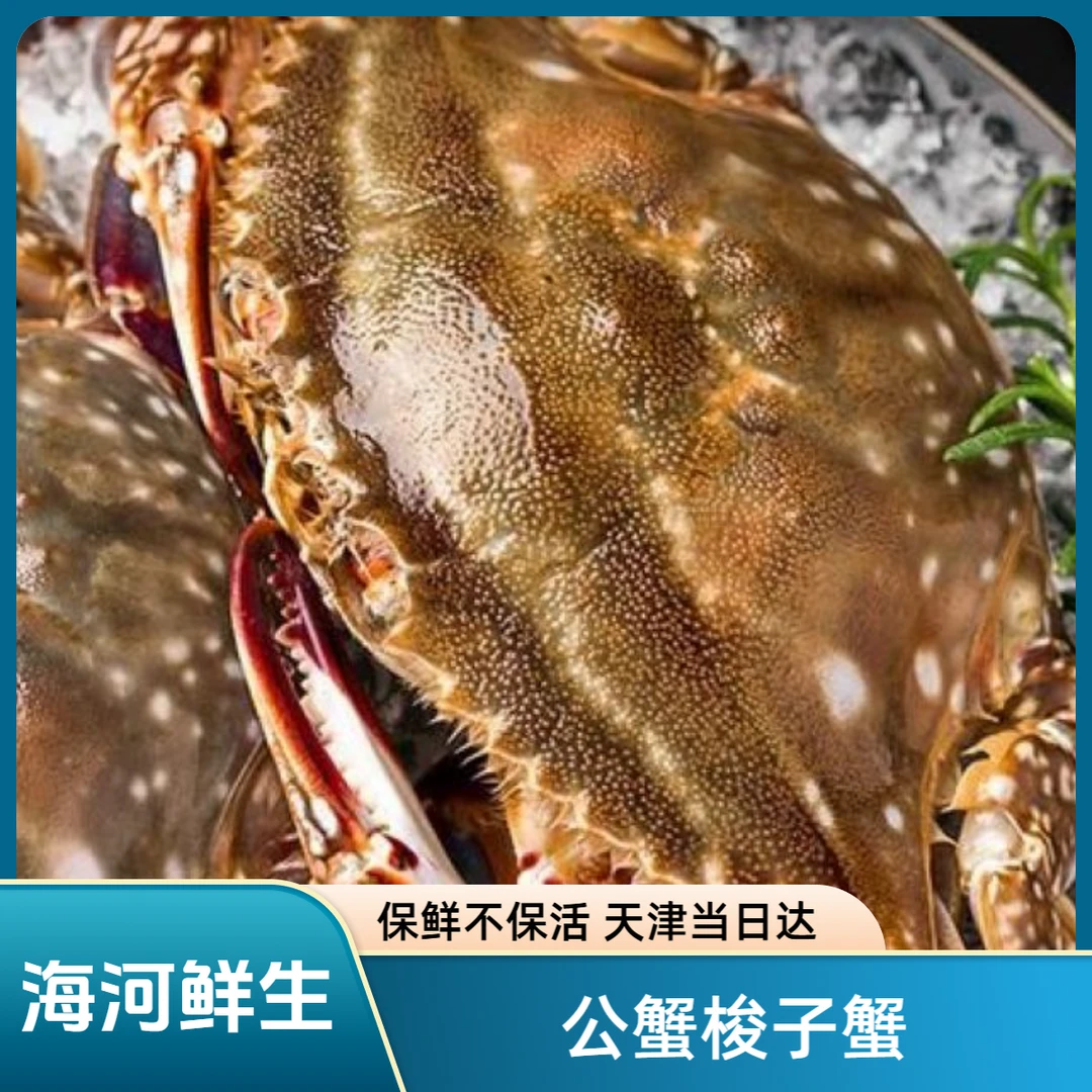 【大公蟹】【保鲜不保活】海捕公蟹梭子蟹3-5斤（单只3-5两）掉爪正常