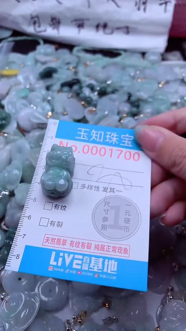 翡翠未镶嵌吊坠(不含链)1700