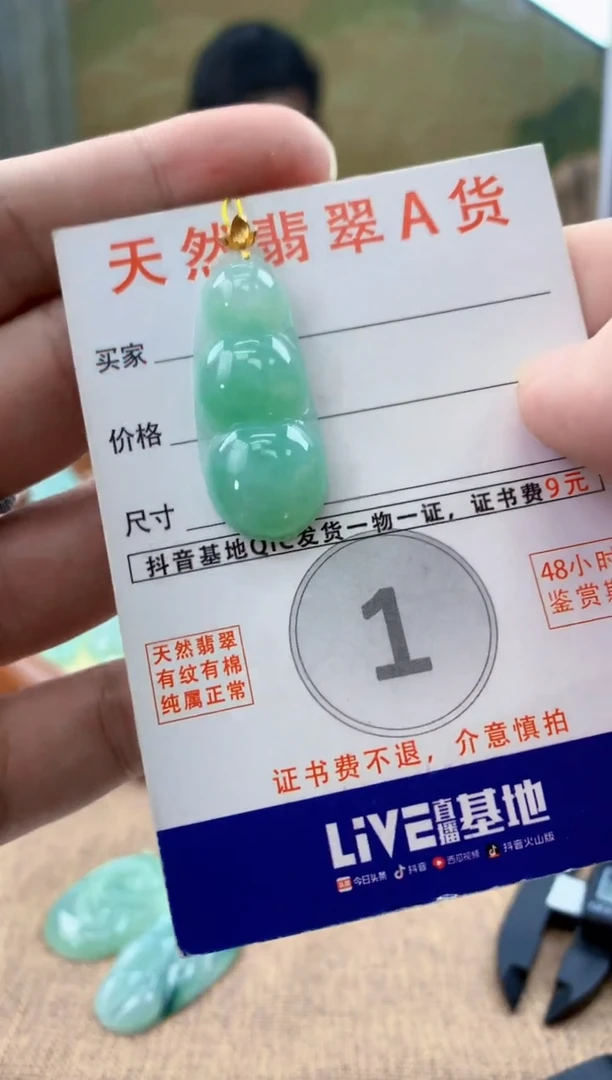 颈饰18K金镶嵌翡翠天然A货翡翠挂件