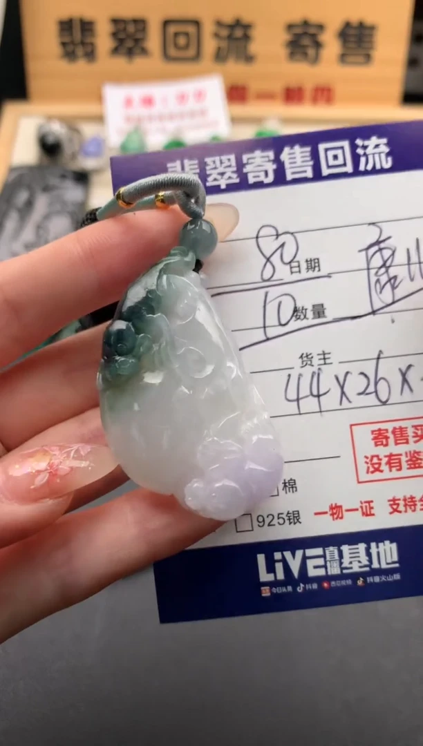 翡翠未镶嵌颈饰10134470