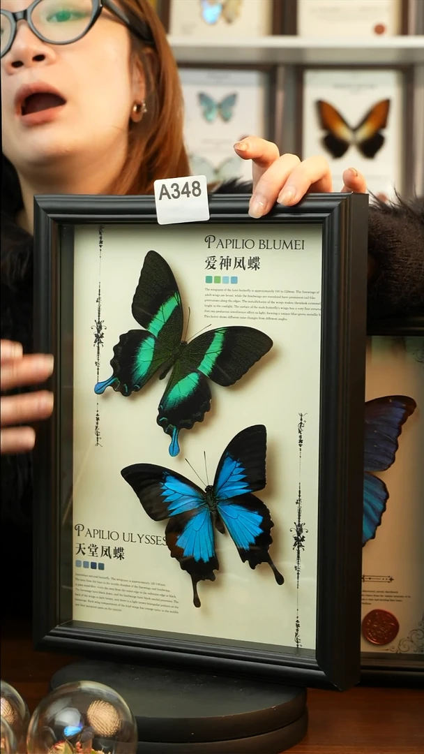 爱神凤蝶天堂凤蝶组合款(A4欧式黑框)A348