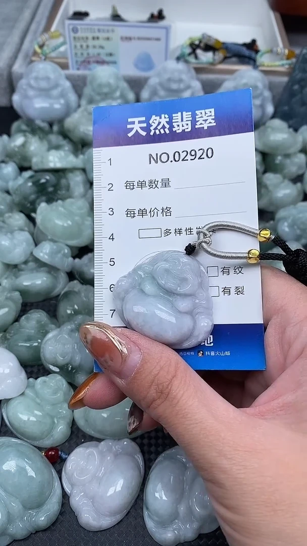 颈饰未镶嵌翡翠纯天然A货翡翠2920