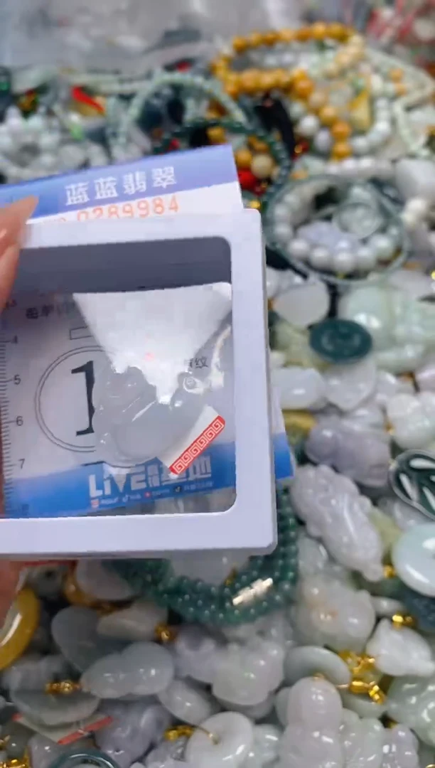 翡翠未镶嵌颈饰闪购0289984