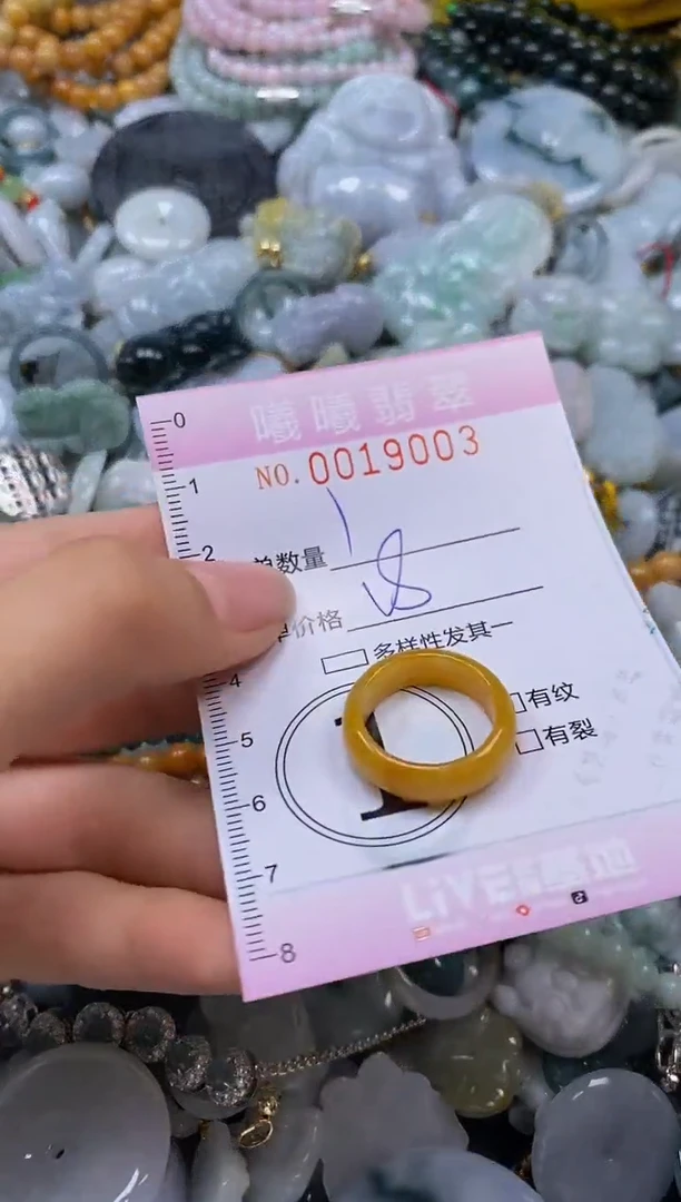翡翠未镶嵌颈饰闪购0019003