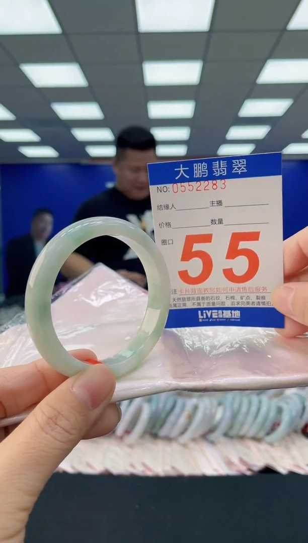 未镶嵌手镯翡翠AAAAAAAAAA