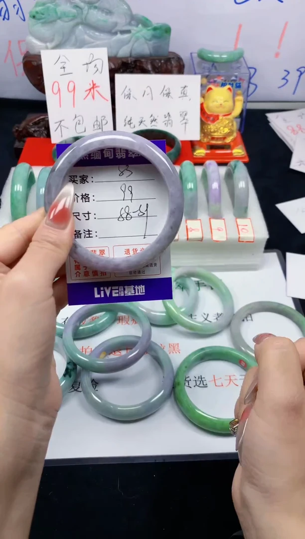 未镶嵌手镯翡翠53