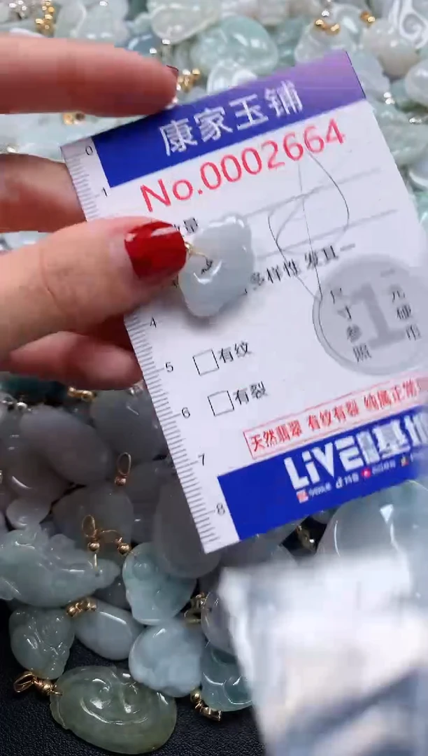 翡翠未镶嵌吊坠(不含链)2664