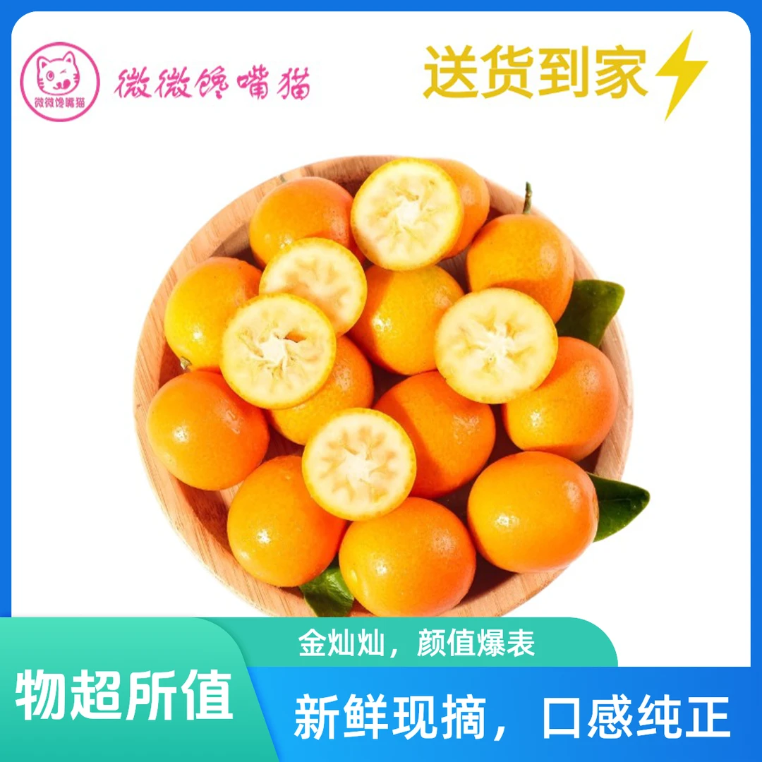 广西小糖丸金柑350g(送货上门）