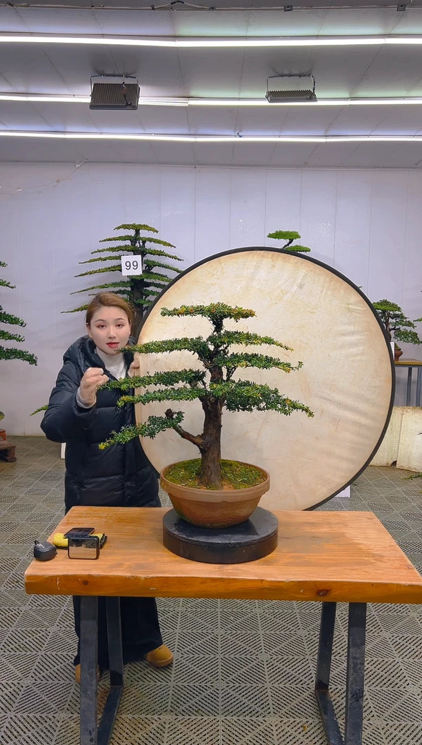 无花朵一物一拍一物一拍