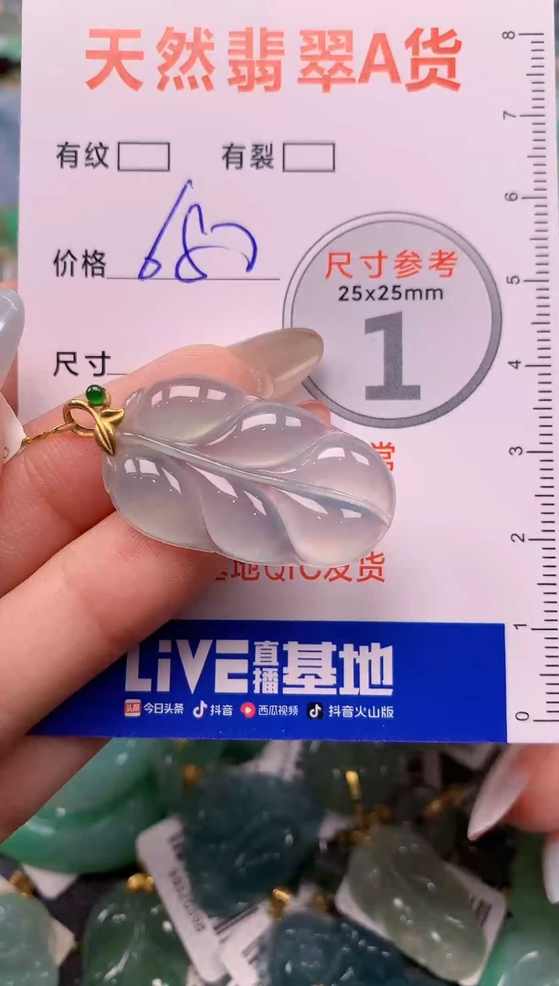 翡翠18K金镶嵌颈饰0482103836