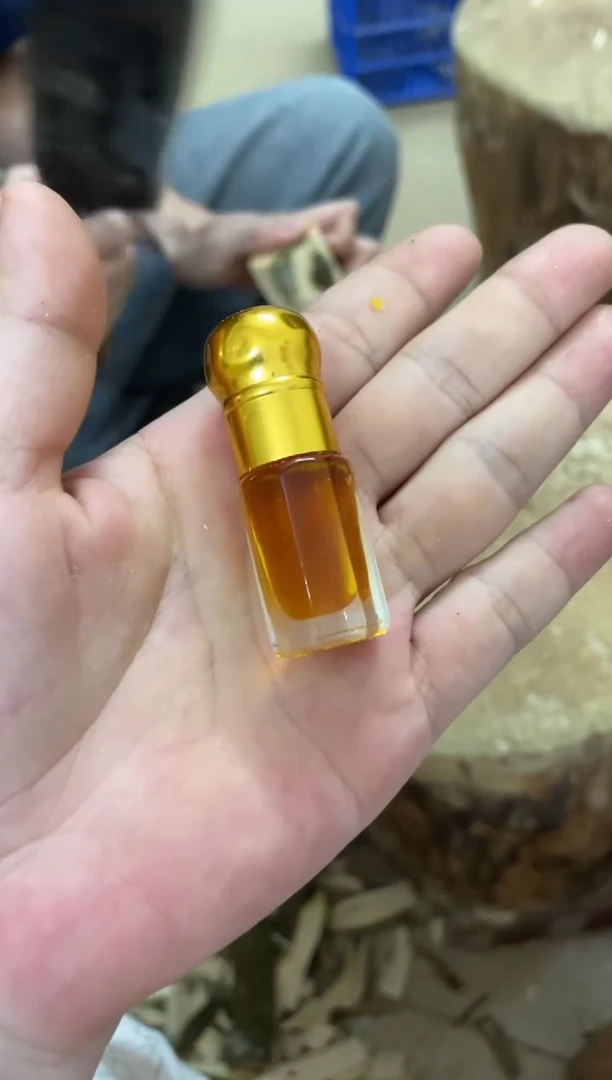 沉香沉香精油棋楠沉香 原料文创 多样性发货1份块料