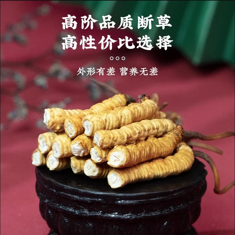 【曲珍专属-大断草】正宗虫草大断草高性价比CCC