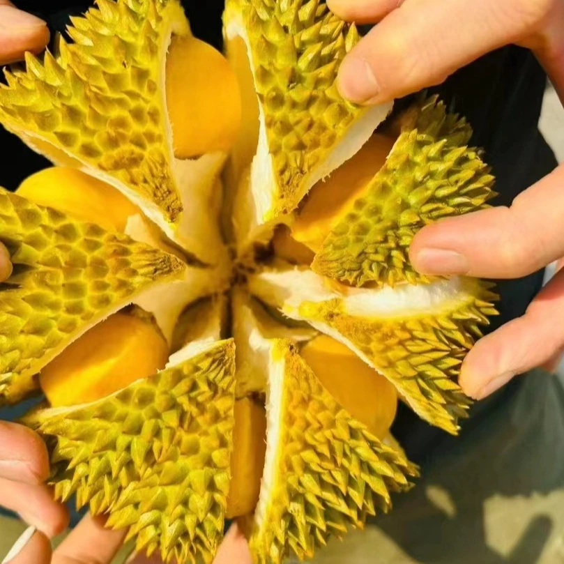 【拍一送一】到手2个泰国新鲜小猫山王〈青尼〉2500g核大【核】大小都有猫山王泰国