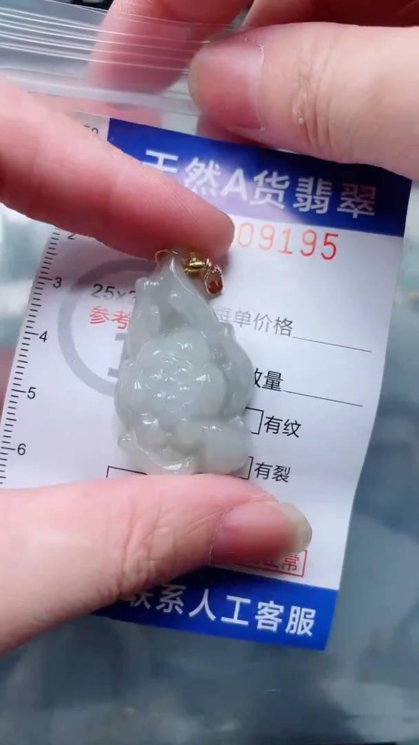 翡翠未镶嵌吊坠(不含链)1
