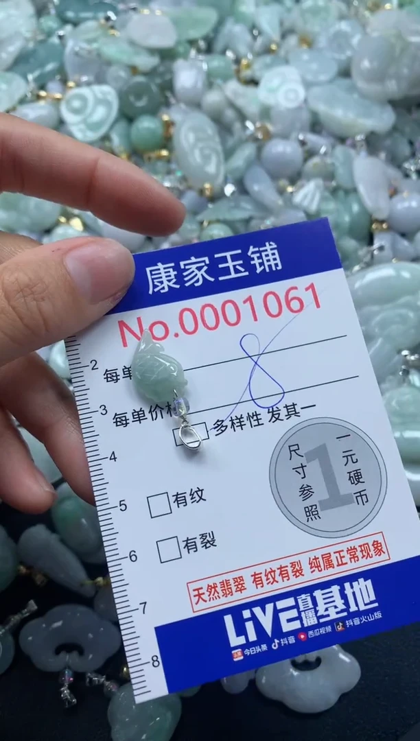 颈饰未镶嵌翡翠1061