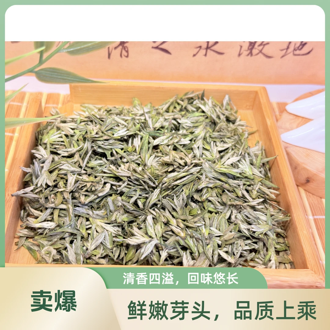 2025春茶头采新茶雨花茶 花香 香鲜爽回甘高级茶叶