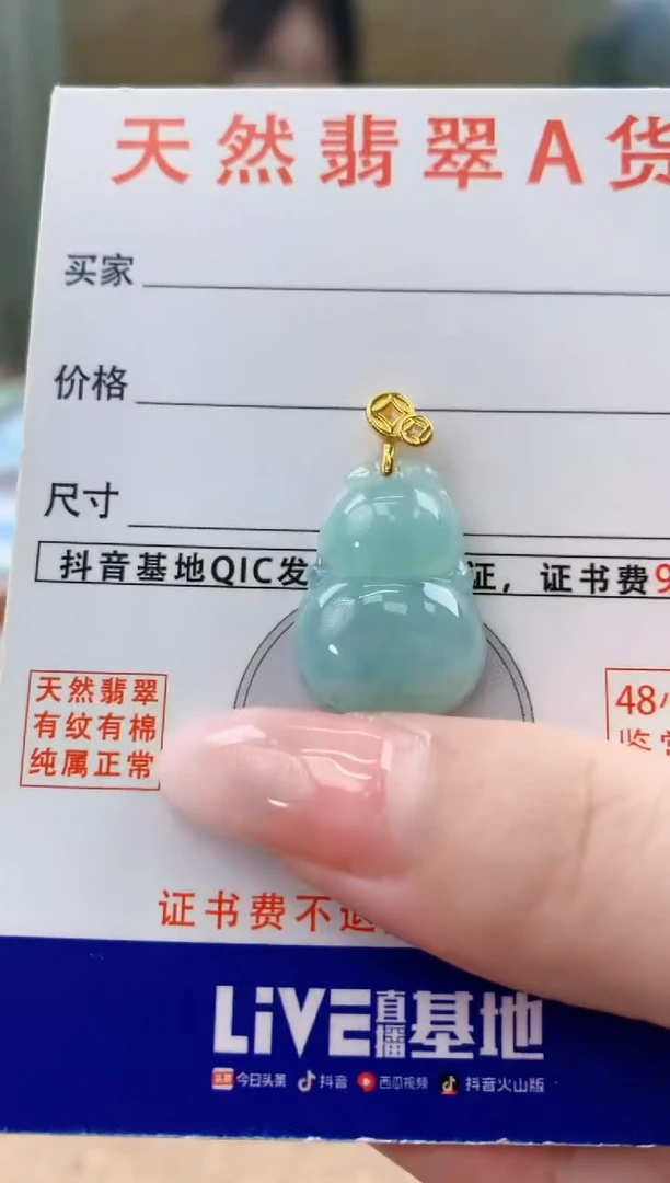 颈饰未镶嵌翡翠天然A货翡翠挂件