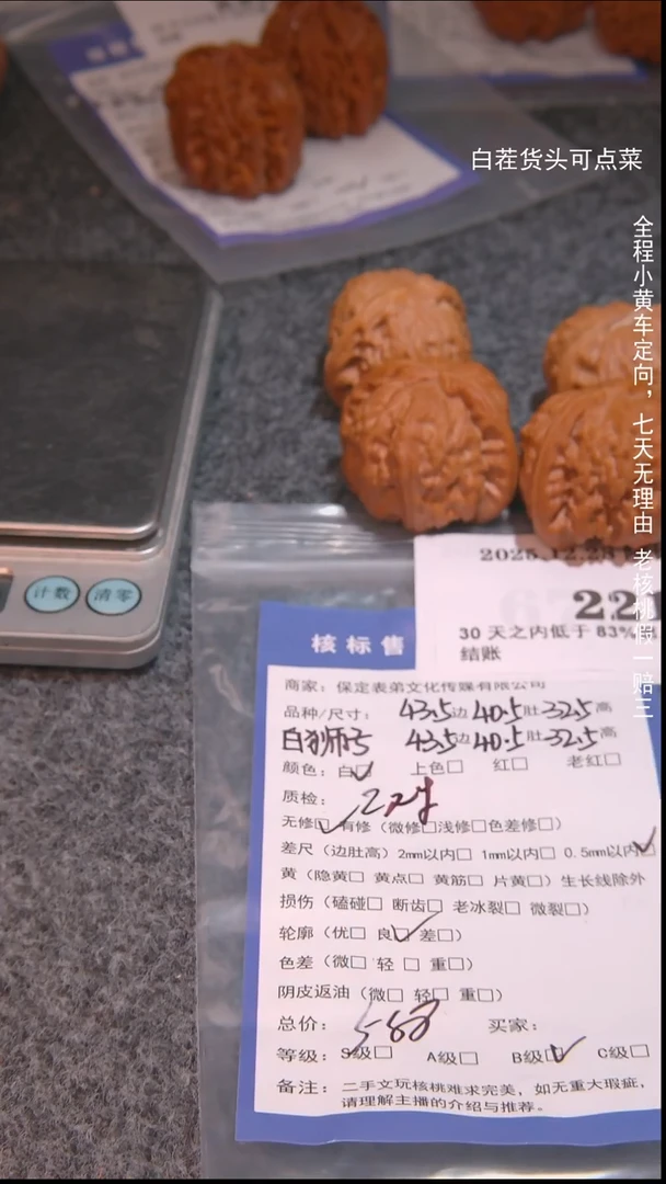 把件文玩核桃无****、白狮子2215諘帝文化