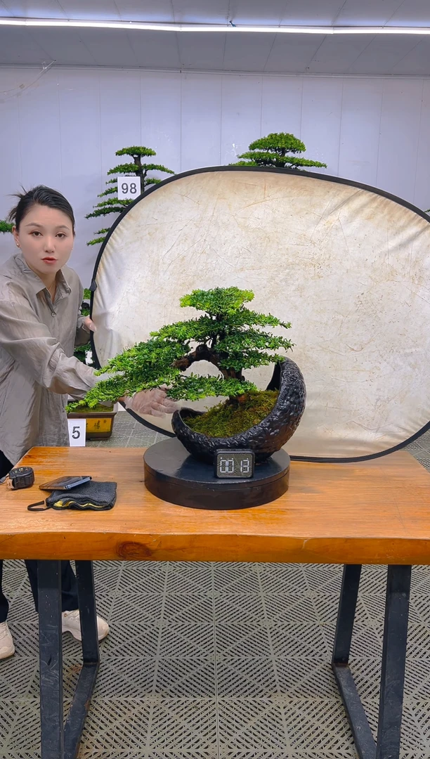 无花朵一物一拍一物一拍
