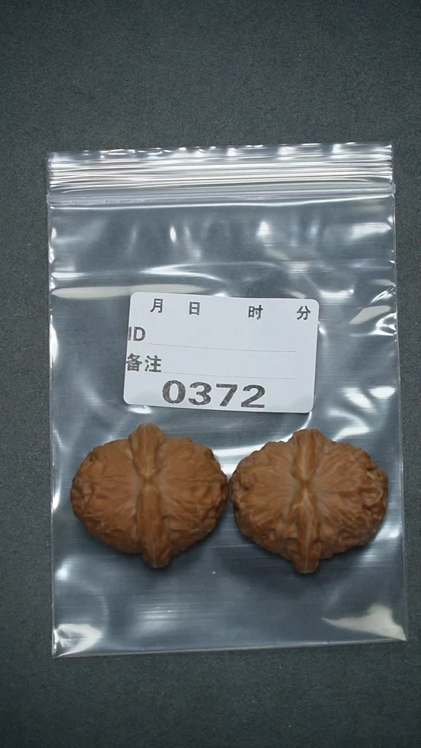 【闪购商品】文玩核桃把件40元宝