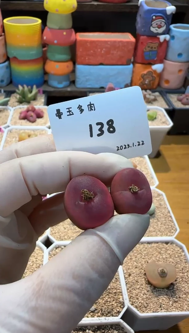 【闪购商品】25.1.22-138李别买