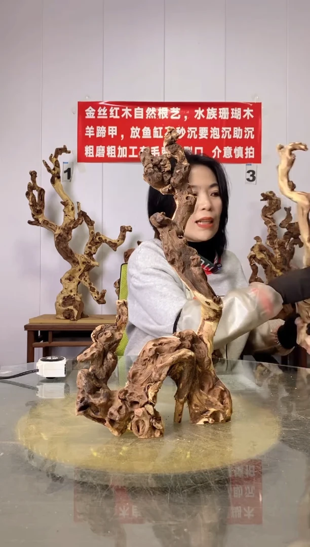 【闪购商品】木25金丝红木 羊蹄甲