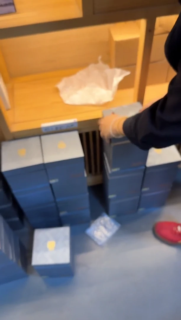 清雅杯粉凤尾